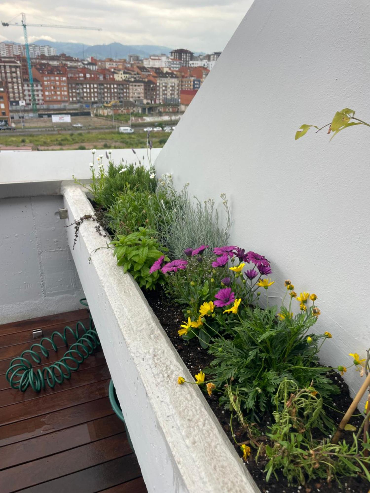 Ferienwohnung El Atico De La Playa Parking Gratis Gijón Exterior foto